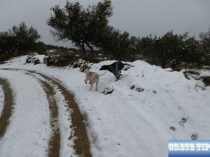 Snow on Crete 2017