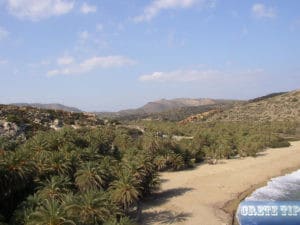 Crete 49 Beach at Vai