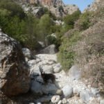 Kritsa Canyon