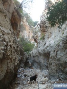 Crete 69 Kritsa Canyon