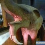 prehistoric mammoth