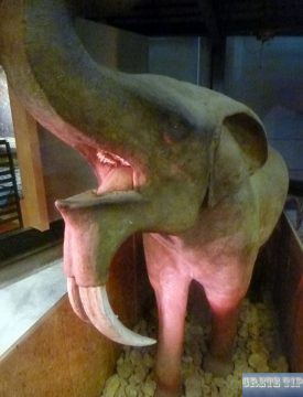 prehistoric mammoth