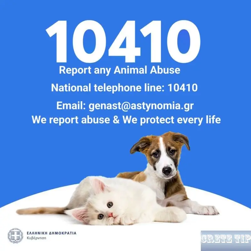 Hotline Greek police