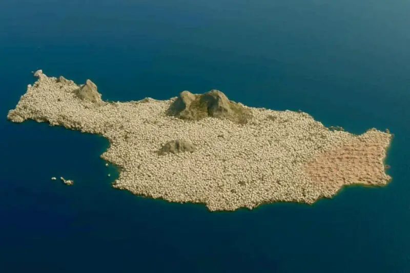 Revelation of the latest scandal surrounding subsidies and its repercussions 1 Crete's sheep