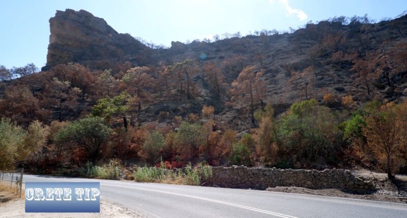 Crete's Fire Safety Crackdown: 80 Fines and 400 Inspections in Ierapetra in 2025—What Property Owners Need to Know 8 ierapetra verbrannt