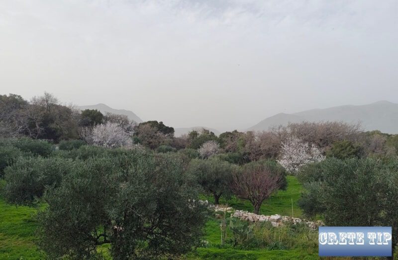 Crete suffocated under African dust 4 wuestenstaub