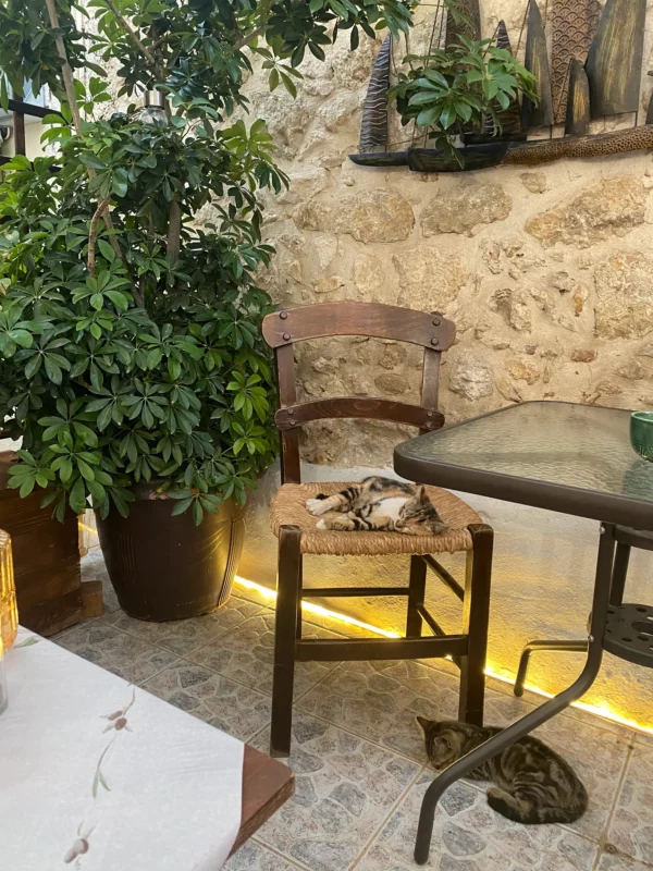 Bellot Heraklion — One of the Best Lunch Options in Crete According to guest reviews 12 bellot heraklion restaurant outdoor 6